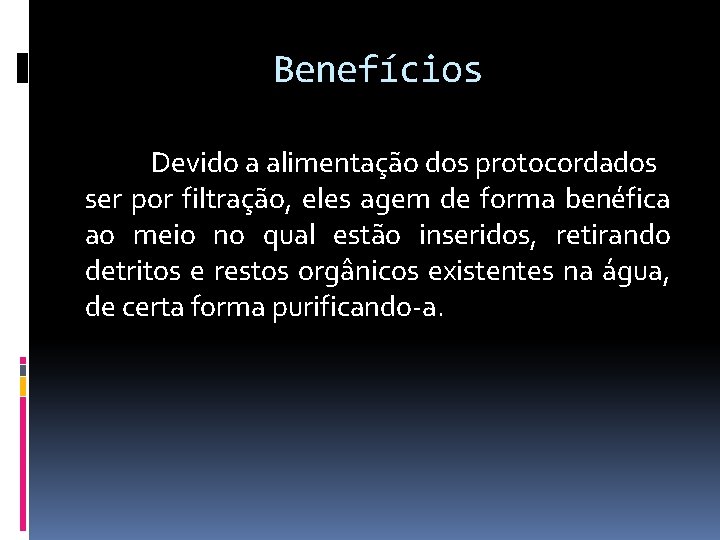 Benefícios Devido a alimentação dos protocordados ser por filtração, eles agem de forma benéfica