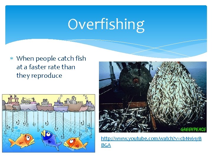 Overfishing When people catch fish at a faster rate than they reproduce http: //www.