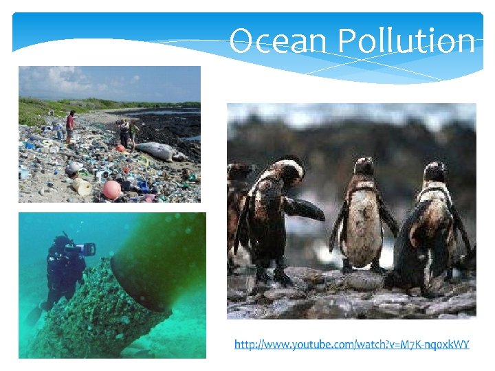 Ocean Pollution 