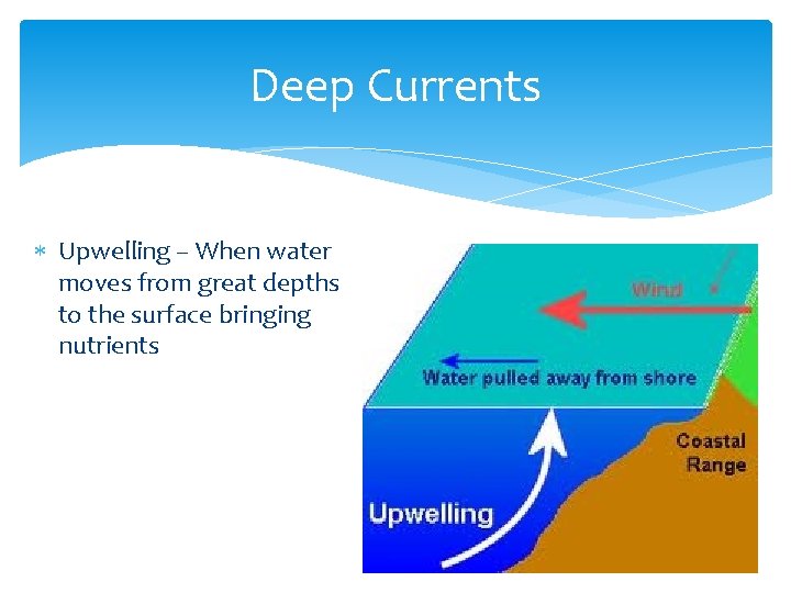 Deep Currents Upwelling – When water moves from great depths to the surface bringing