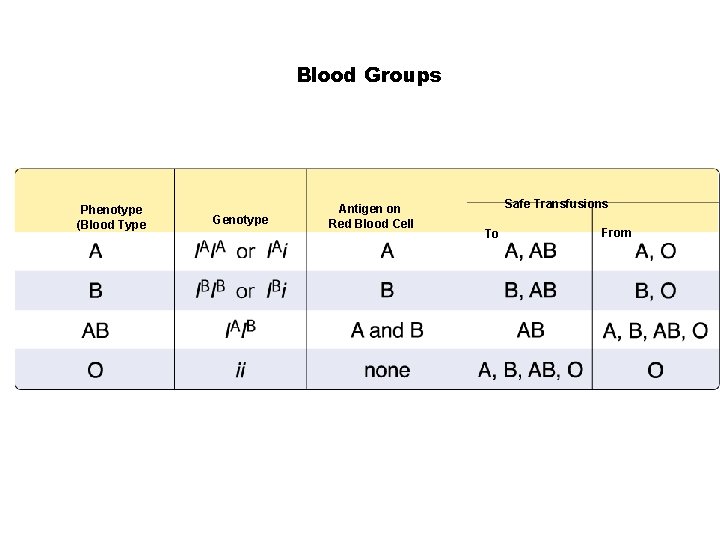 Blood Groups Section 14 -1 Phenotype (Blood Type Go to Section: Genotype Antigen on