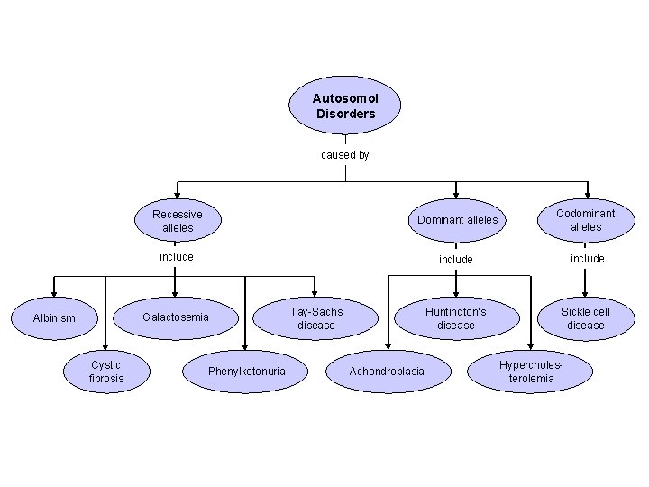 Concept Map Section 14 -1 Autosomol Disorders caused by Dominant alleles Codominant alleles include