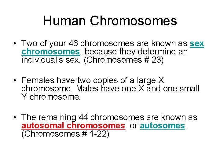 Human Chromosomes • Two of your 46 chromosomes are known as sex chromosomes, because