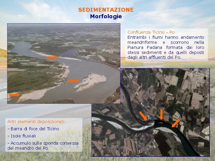 SEDIMENTAZIONE Morfologie Confluenza Ticino – Po Entrambi i fiumi hanno andamento meandriforme e scorrono