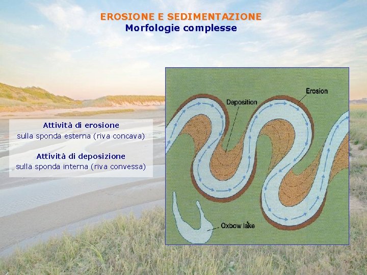 EROSIONE E SEDIMENTAZIONE Morfologie complesse Attività di erosione sulla sponda esterna (riva concava) Attività