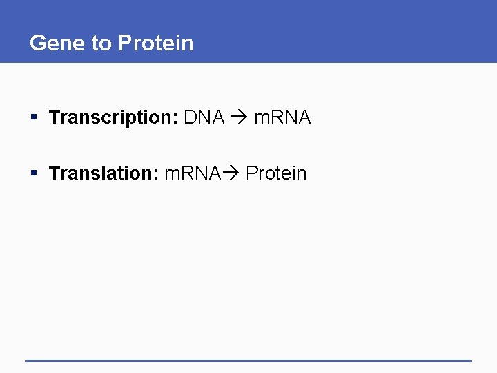 Gene to Protein § Transcription: DNA m. RNA § Translation: m. RNA Protein 