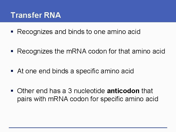 Transfer RNA § Recognizes and binds to one amino acid § Recognizes the m.