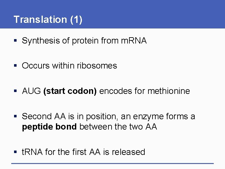 Translation (1) § Synthesis of protein from m. RNA § Occurs within ribosomes §