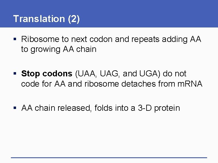 Translation (2) § Ribosome to next codon and repeats adding AA to growing AA