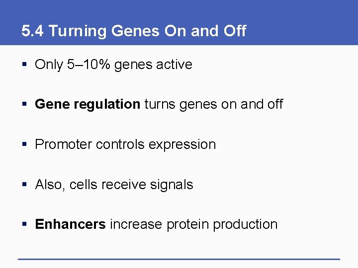 5. 4 Turning Genes On and Off § Only 5– 10% genes active §
