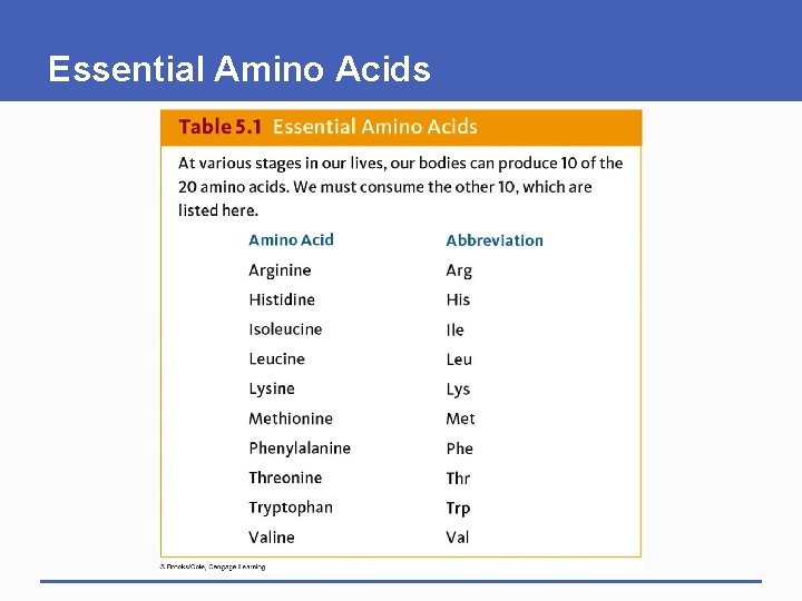 Essential Amino Acids 