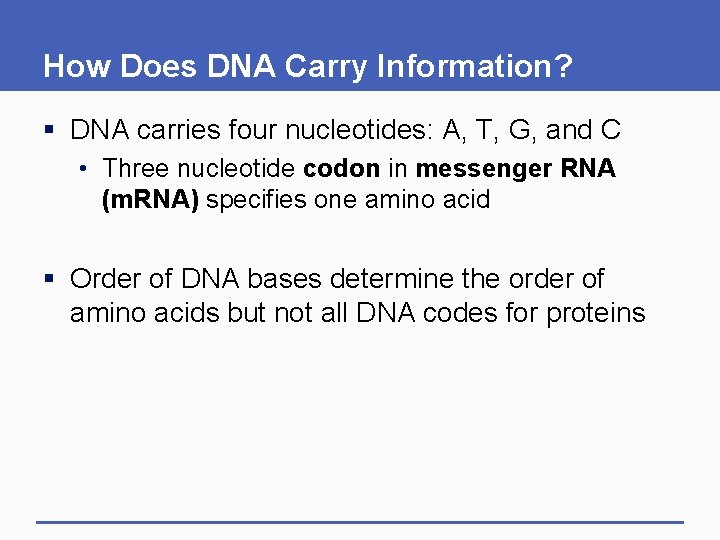 How Does DNA Carry Information? § DNA carries four nucleotides: A, T, G, and