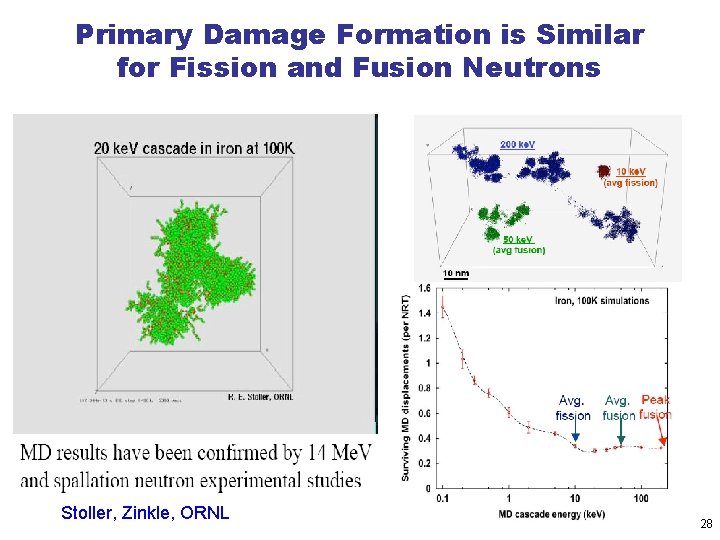 Primary Damage Formation is Similar for Fission and Fusion Neutrons Stoller, Zinkle, ORNL 28