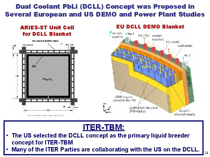 Dual Coolant Pb. Li (DCLL) Concept was Proposed in Several European and US DEMO