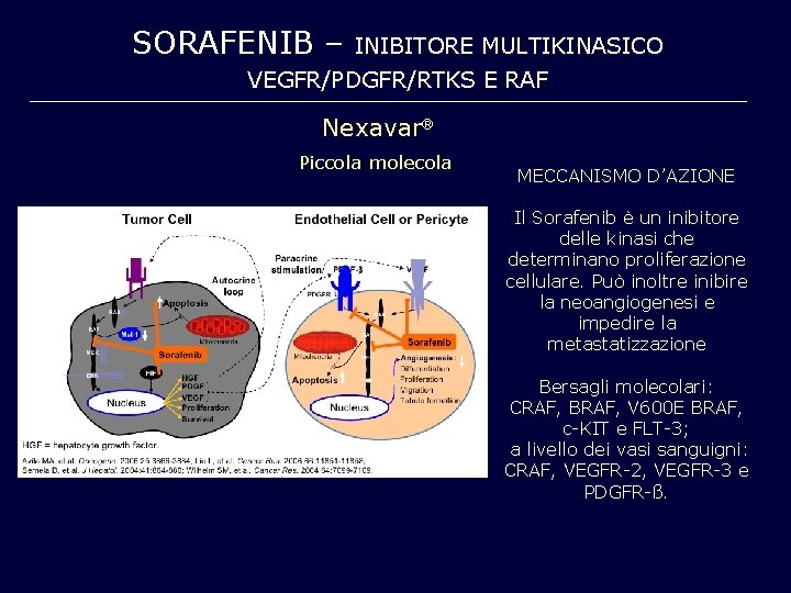 SORAFENIB – INIBITORE MULTIKINASICO VEGFR/PDGFR/RTKS E RAF Nexavar Piccola molecola MECCANISMO D’AZIONE Il Sorafenib