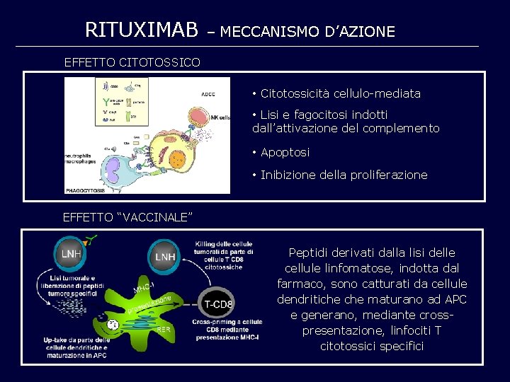 RITUXIMAB – MECCANISMO D’AZIONE EFFETTO CITOTOSSICO • Citotossicità cellulo-mediata • Lisi e fagocitosi indotti