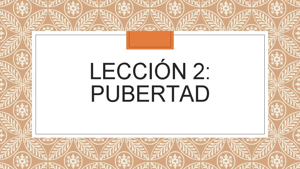 LECCIÓN 2: PUBERTAD 