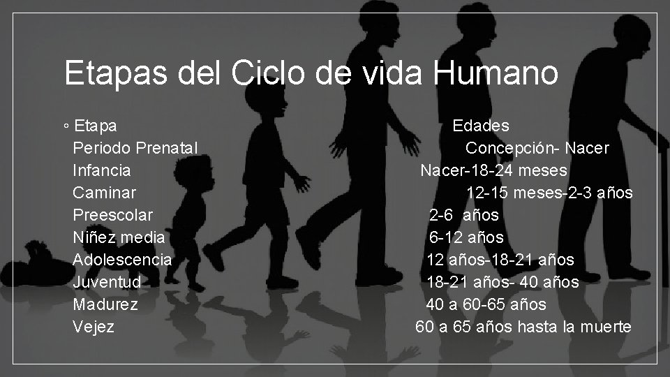 Etapas del Ciclo de vida Humano ◦ Etapa Periodo Prenatal Infancia Caminar Preescolar Niñez