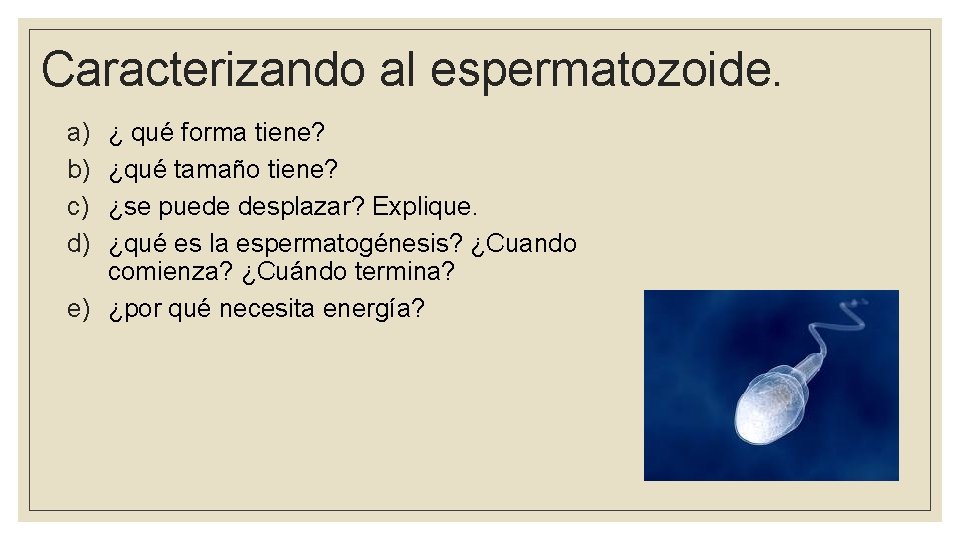 Caracterizando al espermatozoide. a) b) c) d) ¿ qué forma tiene? ¿qué tamaño tiene?