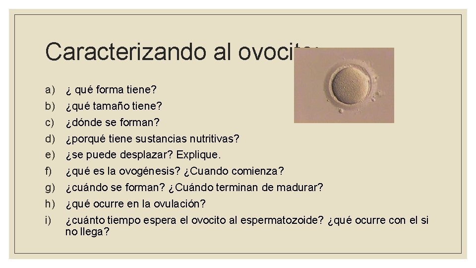 Caracterizando al ovocito: a) b) c) d) e) f) g) h) i) ¿ qué