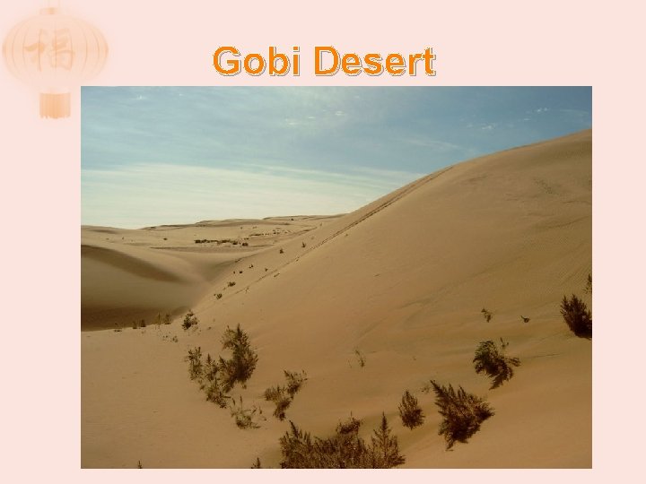 Gobi Desert 