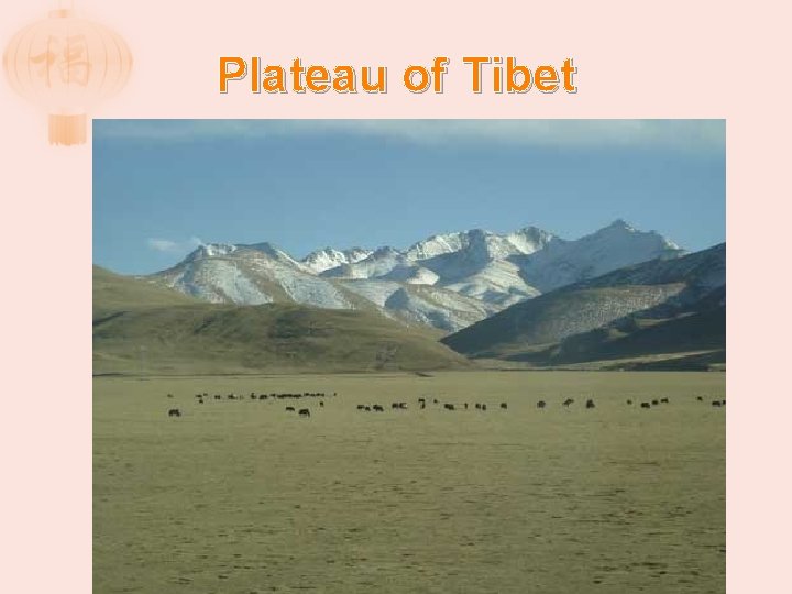 Plateau of Tibet 