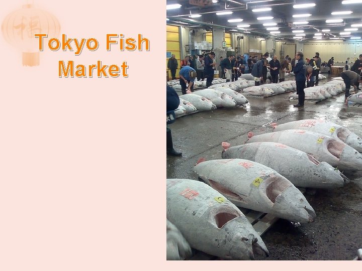 Tokyo Fish Market 