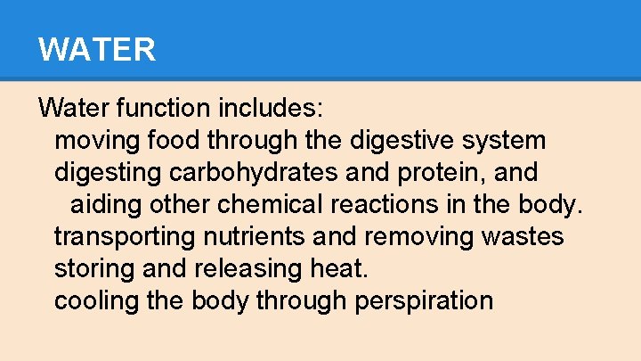 WATER Water function includes: moving food through the digestive system digesting carbohydrates and protein,
