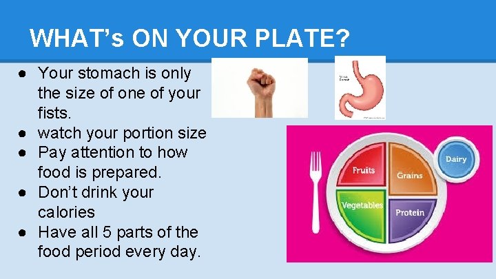 WHAT’s ON YOUR PLATE? ● Your stomach is only the size of one of