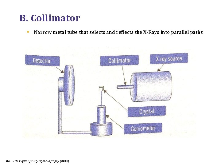 B. Collimator § Narrow metal tube that selects and reflects the X-Rays into parallel