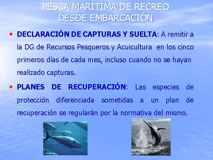 PESCA MARÍTIMA DE RECREO DESDE EMBARCACIÓN • DECLARACIÓN DE CAPTURAS Y SUELTA: A remitir