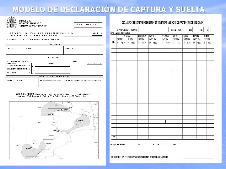 MODELO DE DECLARACIÓN DE CAPTURA Y SUELTA 