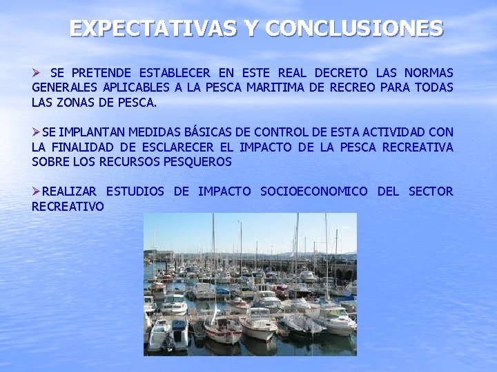 EXPECTATIVAS Y CONCLUSIONES Ø SE PRETENDE ESTABLECER EN ESTE REAL DECRETO LAS NORMAS GENERALES