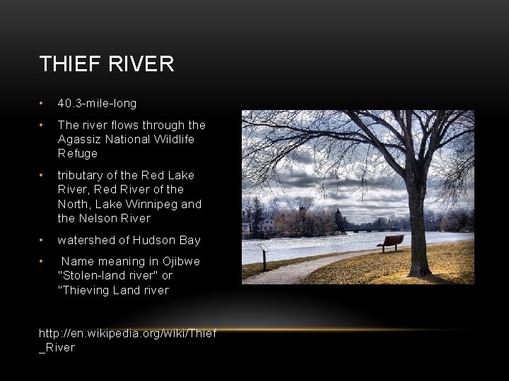 THIEF RIVER • 40. 3 -mile-long • The river flows through the Agassiz National