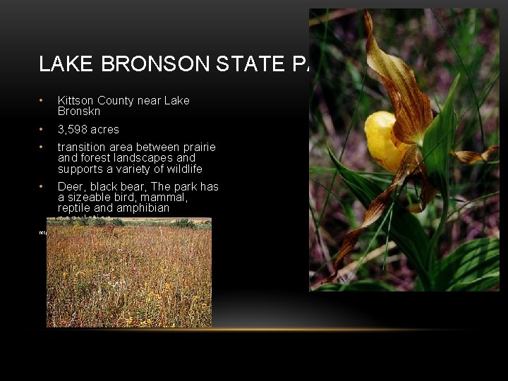 LAKE BRONSON STATE PARK • Kittson County near Lake Bronskn • 3, 598 acres