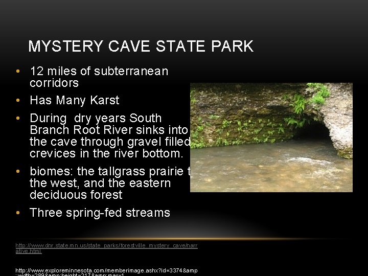 MYSTERY CAVE STATE PARK • 12 miles of subterranean corridors • Has Many Karst