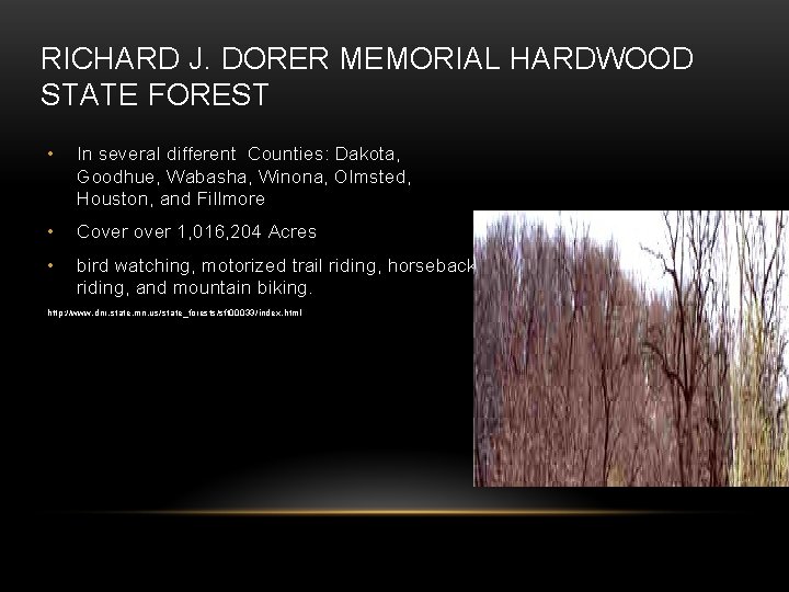 RICHARD J. DORER MEMORIAL HARDWOOD STATE FOREST • In several different Counties: Dakota, Goodhue,