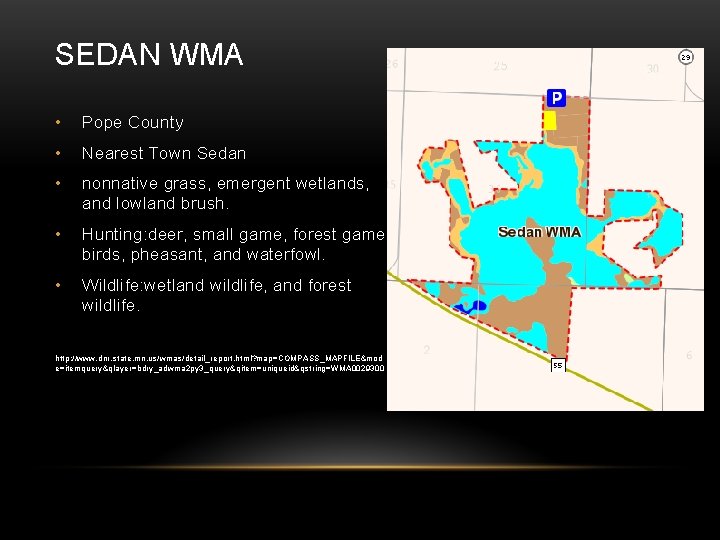 SEDAN WMA • Pope County • Nearest Town Sedan • nonnative grass, emergent wetlands,