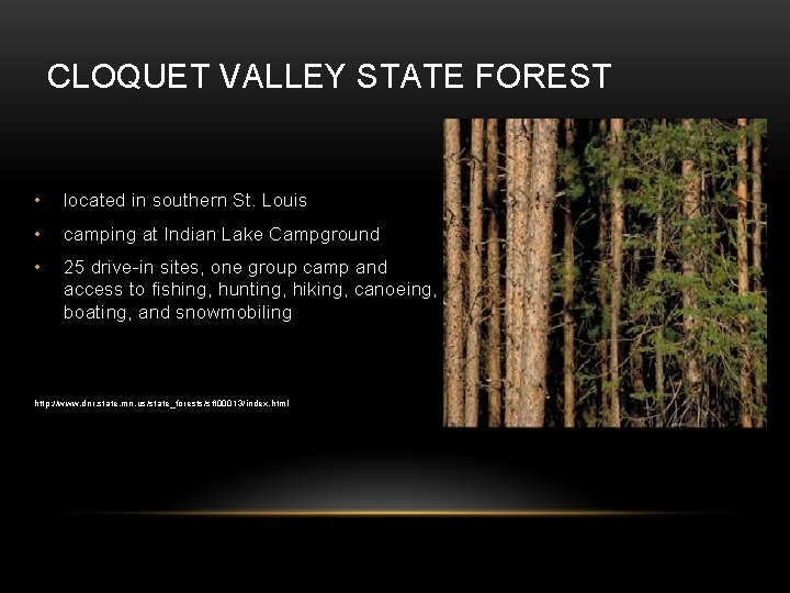 CLOQUET VALLEY STATE FOREST • located in southern St. Louis • camping at Indian