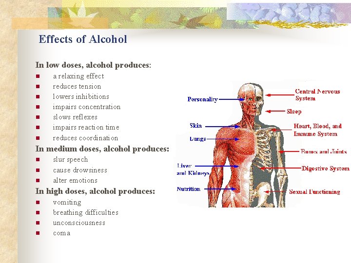 Effects of Alcohol In low doses, alcohol produces: n n n n a relaxing