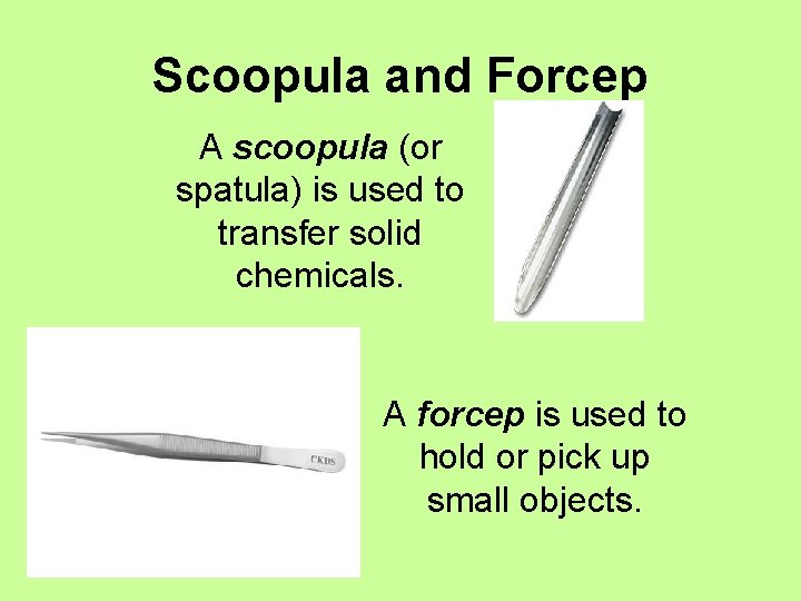 Scoopula and Forcep A scoopula (or spatula) is used to transfer solid chemicals. A