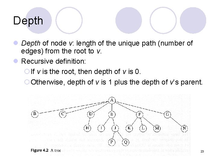 Depth l Depth of node v: length of the unique path (number of edges)