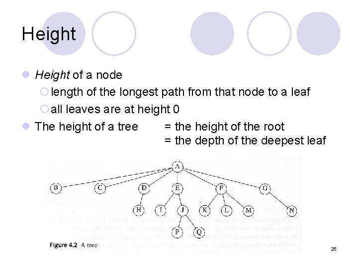 Height l Height of a node ¡length of the longest path from that node