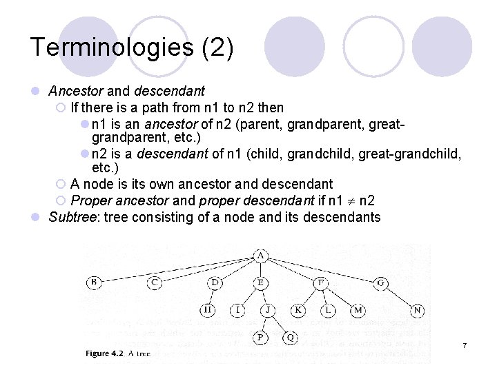 Terminologies (2) l Ancestor and descendant ¡ If there is a path from n