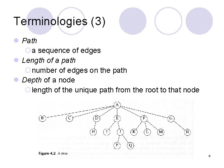Terminologies (3) l Path ¡a sequence of edges l Length of a path ¡number