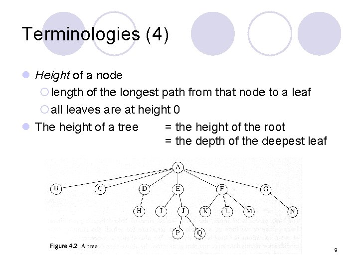 Terminologies (4) l Height of a node ¡length of the longest path from that