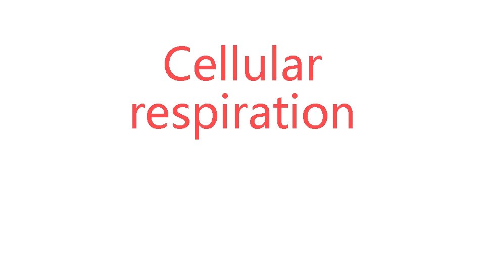 Cellular respiration 