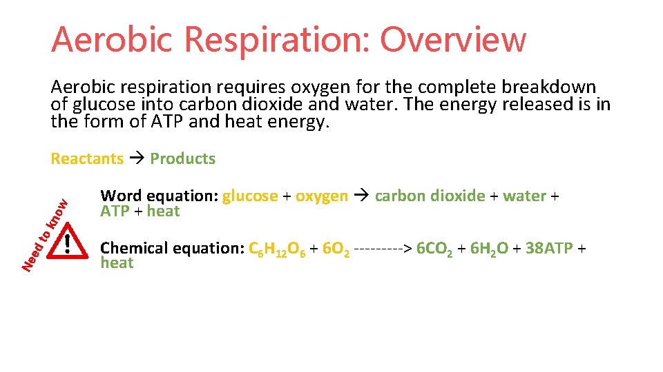 Aerobic Respiration: Overview Aerobic respiration requires oxygen for the complete breakdown of glucose into