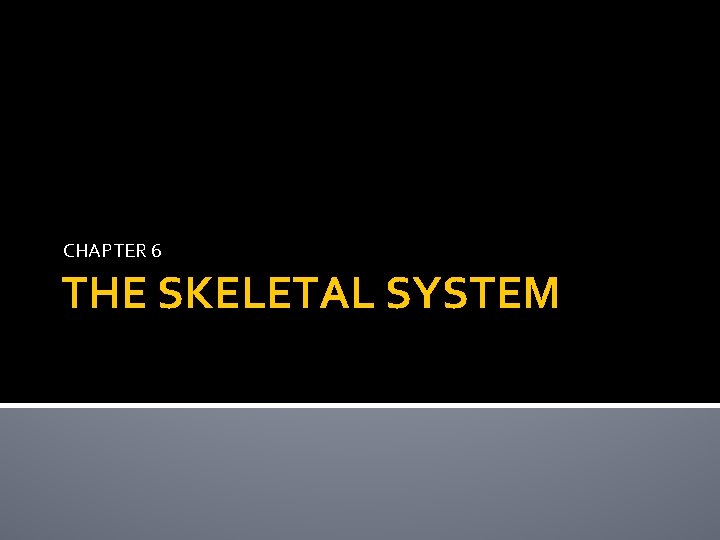 CHAPTER 6 THE SKELETAL SYSTEM 