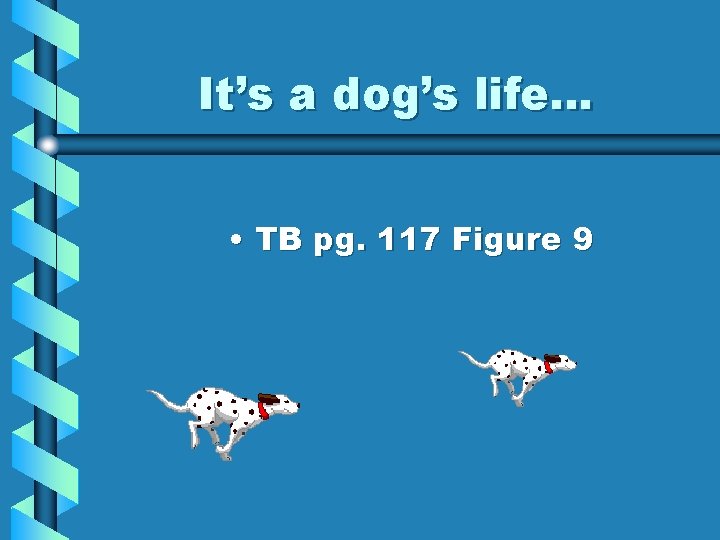 It’s a dog’s life… • TB pg. 117 Figure 9 